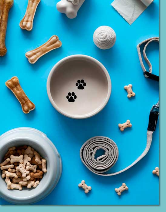 //veterinariasosanimal.cl/wp-content/uploads/2017/08/accesorios-para-mascotas.jpg